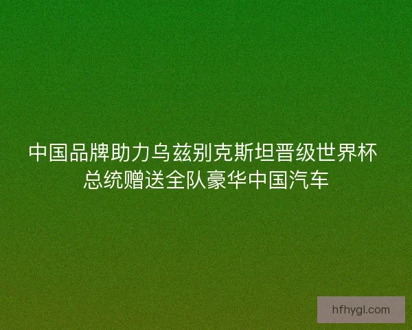 中国品牌助力乌兹别克斯坦晋级世界杯 总统赠送全队豪华中国汽车